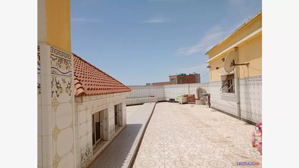 250,000,000 DA Vente grande villa commerciale R+3 actée 1500m2 et 2 façades à castors oran